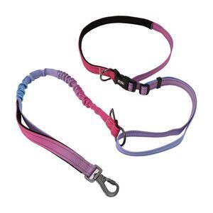 No Pull Bungee Dog Leash for One Dog Up to 440 Ib with Car Seatbelt Rose Red